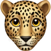 Leopard  sticker