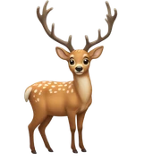 Deer  sticker