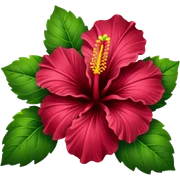 Realistic, detailed, 3D rending, dark burgundy color Hibiscus HIbiscus, with dark and bright green leaves sticker
