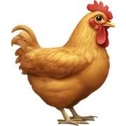 chicken sticker