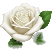 White rose sticker