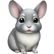 chinchilla sticker
