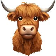 Highland cow sticker