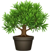 tea tree sticker