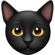black cat  sticker