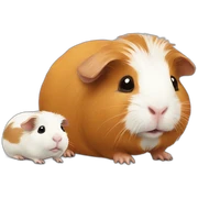Guinea pig Accompanied by baby guinea pig sticker