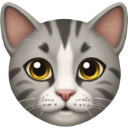 Cats sticker