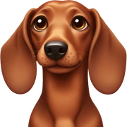 dachshund sticker