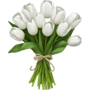 white tulip bouquet  sticker