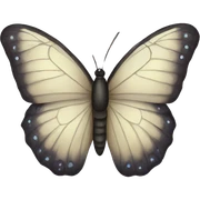 Butterfly  sticker
