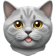 Light gray british shorthair cat sticker