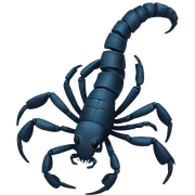 Scorpion  sticker