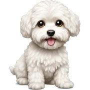 Maltipoo  sticker