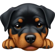 Rottweiler sleeping sticker