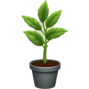 Plant  sticker