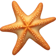 starfish  sticker