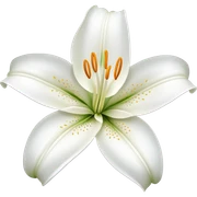 Lily flower sticker