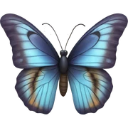 Butterfly sticker
