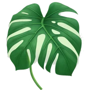 Monstera  sticker