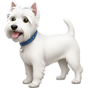 Westie sticker