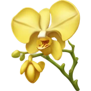 Yellow orchid sticker