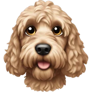 Cockapoo sticker