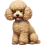 Poodle sticker