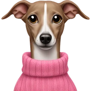 italian greyhound in a pink sweater sticker