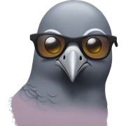 Pigeon with sunglasses sticker