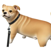 realistic collar on grass dog sticker