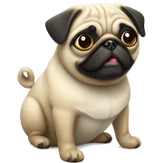 Pug  sticker