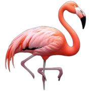 flamingo sticker