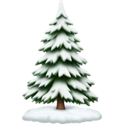  actual white fir christmas tree isolated.  sticker