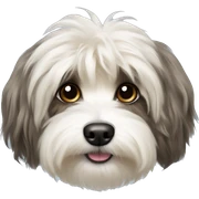 havanese silk dog sticker