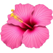 Pink Hibiscus  sticker