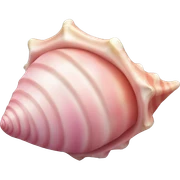 Pink conch shell  sticker