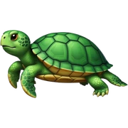 Turtle sticker