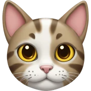 cat with a bow sticker