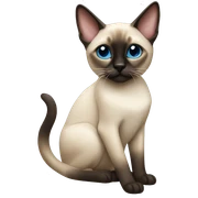 Siamese cat  sticker