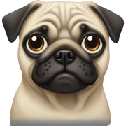 Pug  sticker