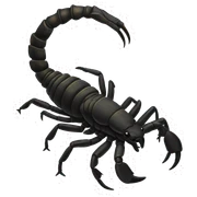 scorpion sticker