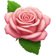 Rosa sticker