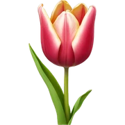Tulip sticker