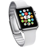 Apple watch  sticker