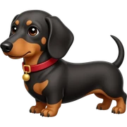 The dachshund apologizes sticker