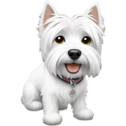 westie sticker