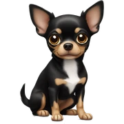 black chihuahua sticker