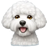 Bichon frise sticker