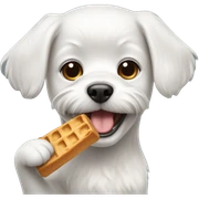 small white dog with small head eating a treat sticker