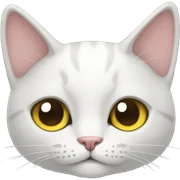 Car cat sticker